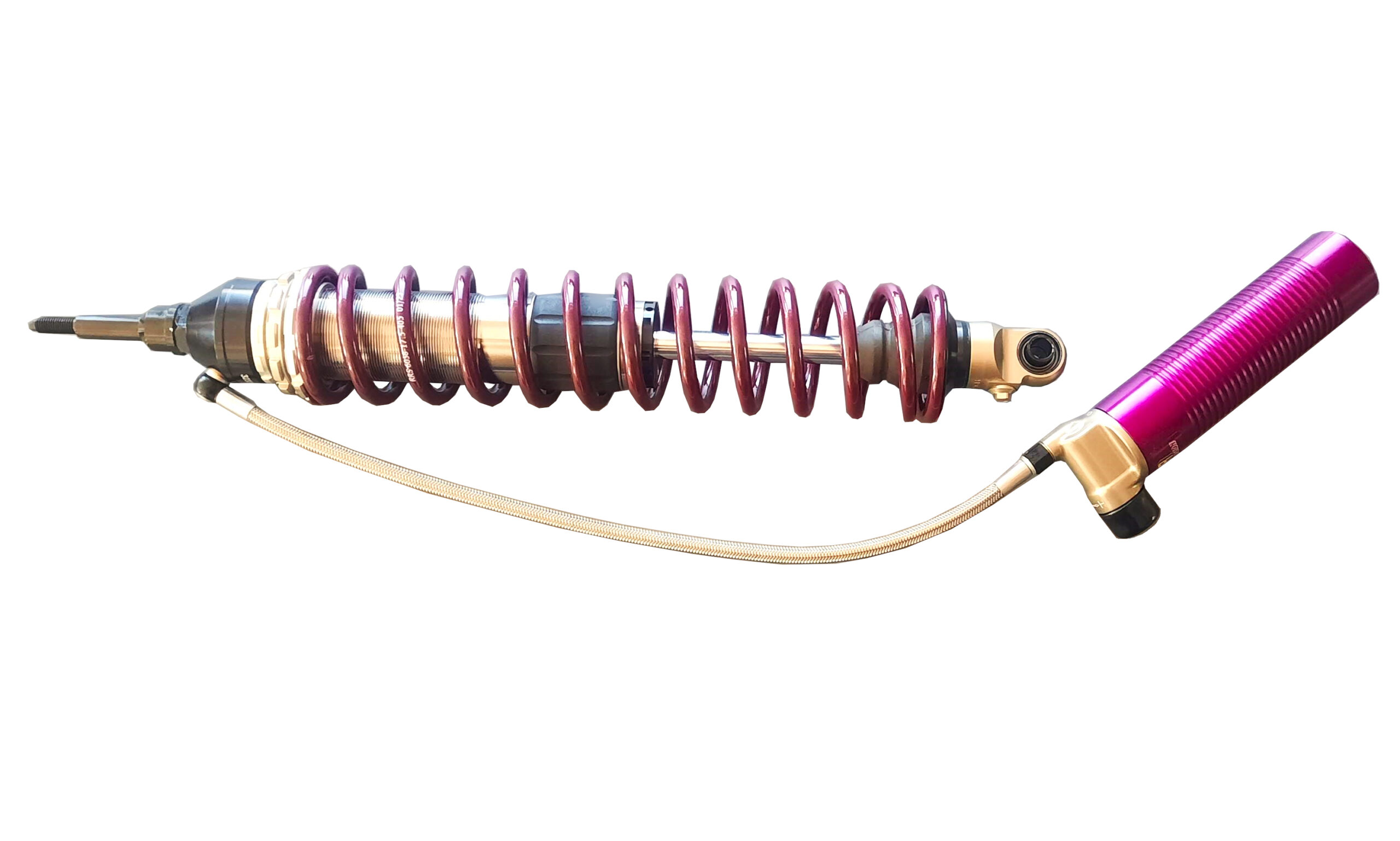 BMW E8x E9x Reiger Suspension Rear