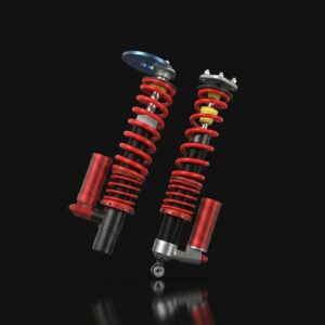 Samsonas drifting dampers BMW E46 3-way Wisefab Kit