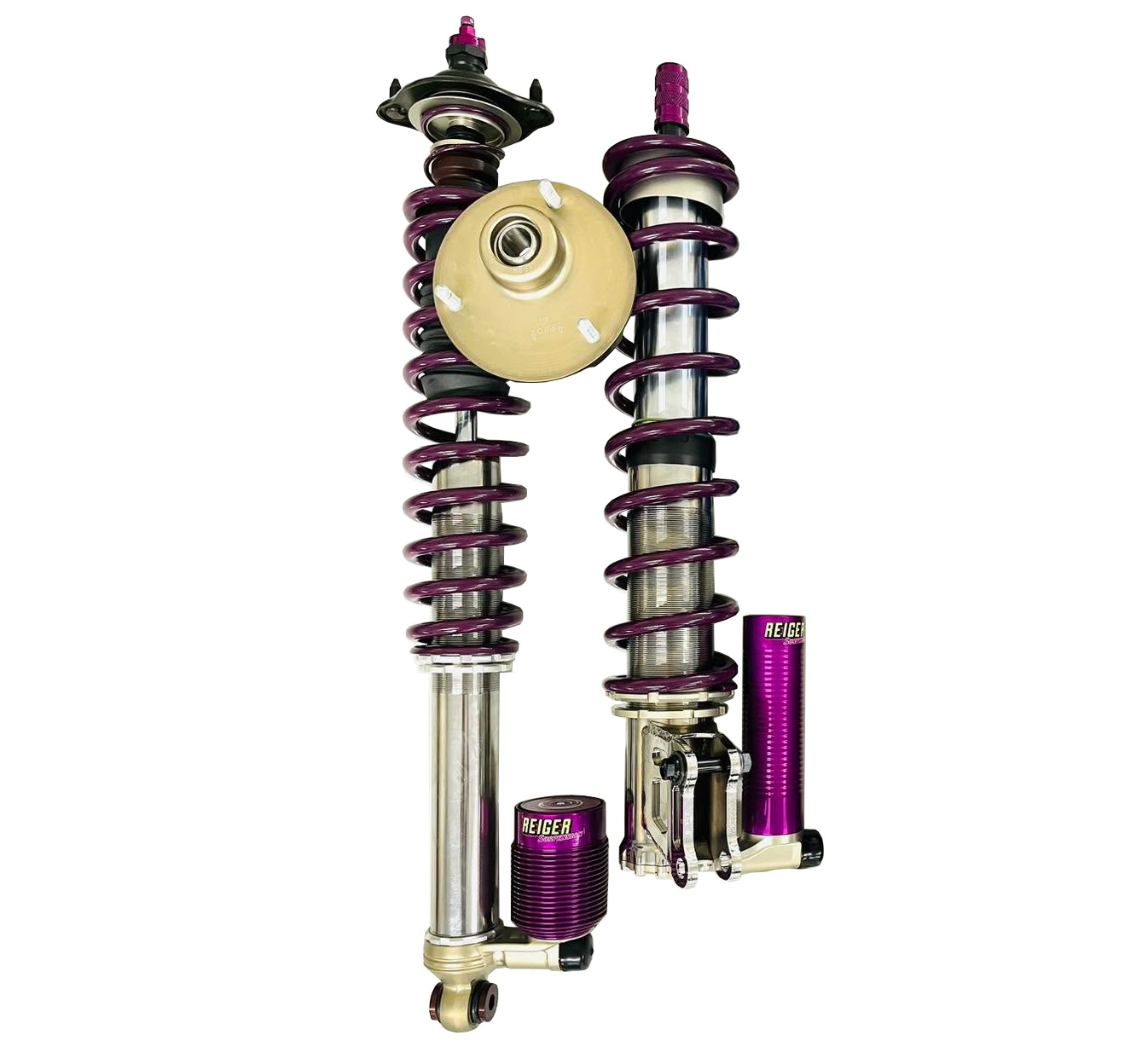Reiger Suspension - Mitsubishi Lancer Evo X Rally Suspension